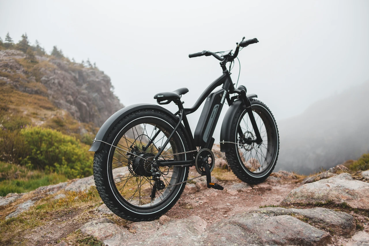 Bonus bici elettriche giugno 2025: requisiti aggiornati e come richiedere subito il voucher statale Bonus bici elettriche giugno 2025: requisiti aggiornati e come richiedere subito il voucher statale