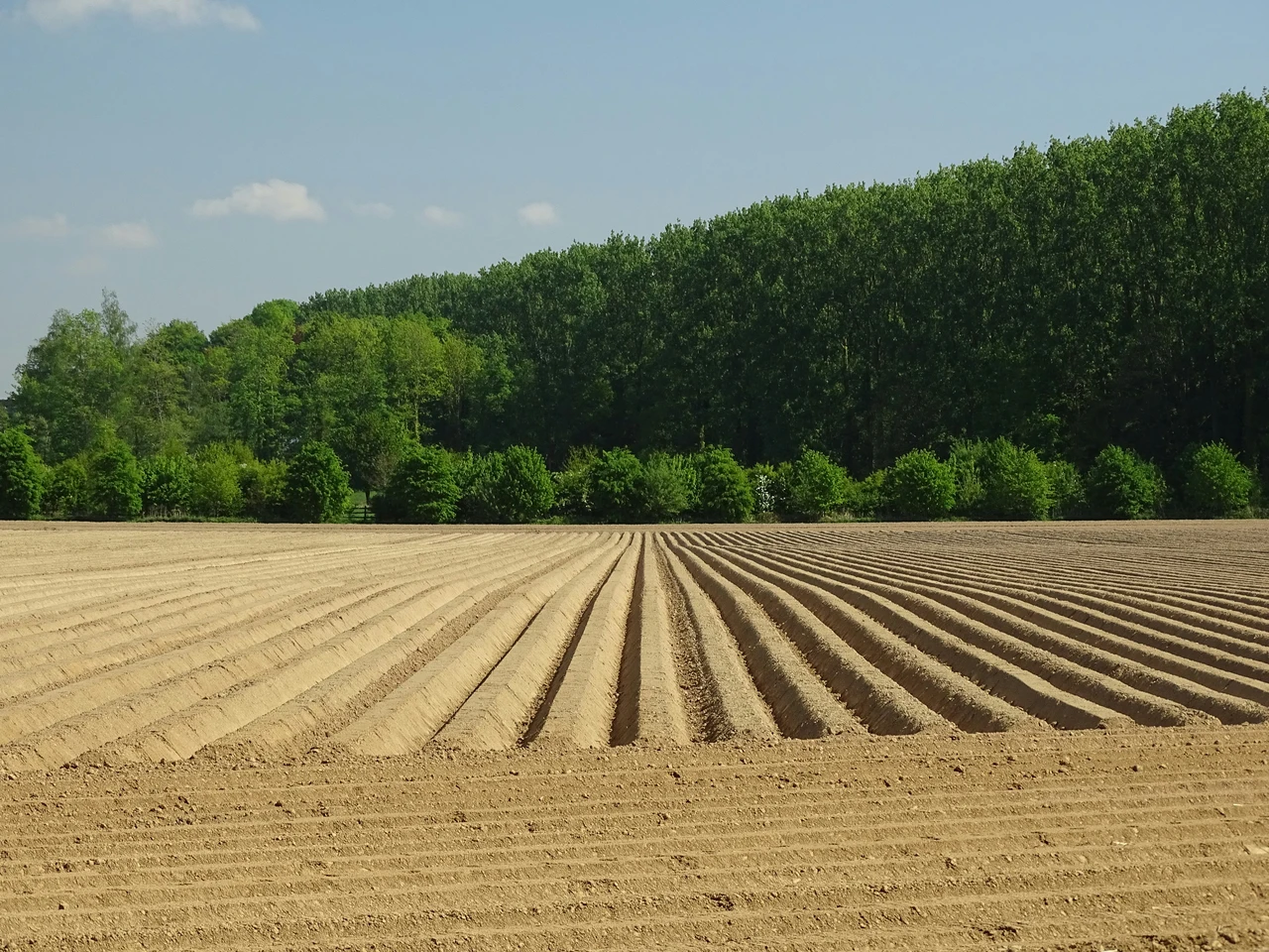 Terreno agricolo inutilizzato? Ecco come trasformarlo in una rendita stabile Terreno agricolo inutilizzato? Ecco come trasformarlo in una rendita stabile
