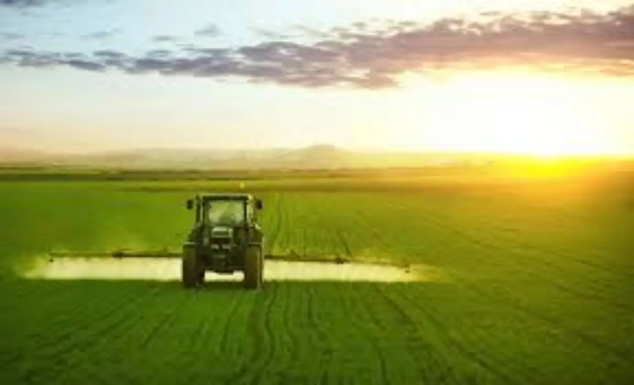 Terreno agricolo inutilizzato? Ecco come trasformarlo in una rendita stabile Terreno agricolo inutilizzato? Ecco come trasformarlo in una rendita stabile