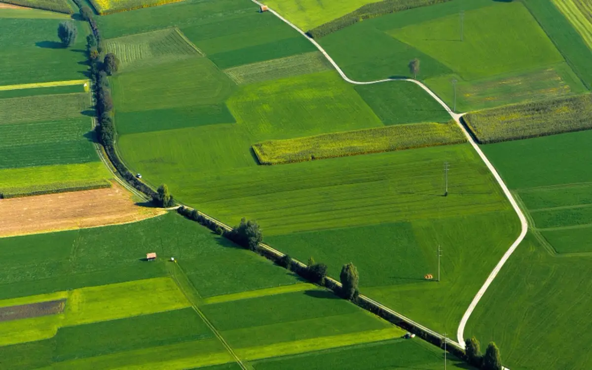 Terreno agricolo inutilizzato? La guida per trasformarlo in una rendita stabile già da giugno Terreno agricolo inutilizzato? La guida per trasformarlo in una rendita stabile già da giugno
